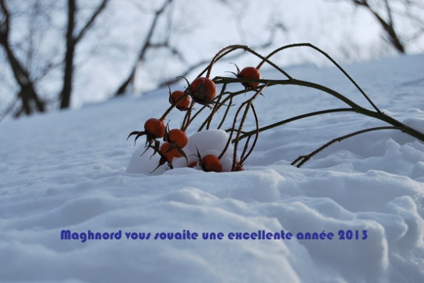 Maghnord-voeux-13-DS