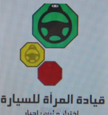 Le portail des militantes (photo d’écran DR)