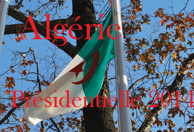 ONU-drapeau-Algérie-élct.-maghnord-DS-2