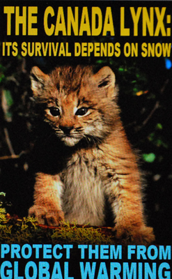 Le lynx du Canada dans la même galère (photo écran illustration EDF-DR)