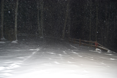 21h15. Voie carrossable, vue depuis le garage (photo Dahmane Soudani)