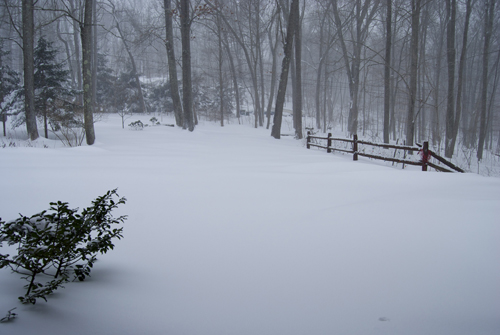 La piste carrossable (photo DS)