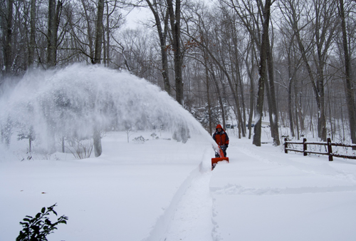 le brave Chassou fait des miracles (photo DR)
