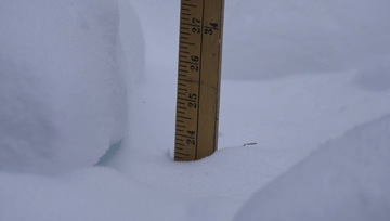 Trop épais pour Chassou (photo DS)