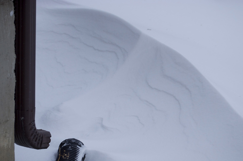 Déposée par dame nature (photo DS)