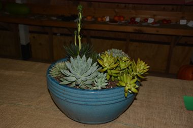 Haddam-Neck-Fair-2015-Magh.-DS-11