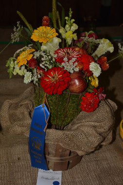 Haddam-Neck-Fair-2015-Magh.-DS-4