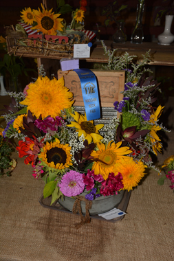 Haddam-Neck-Fair-2015-Magh.-DS-7