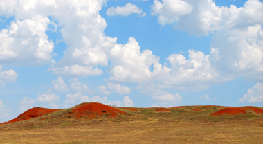 Si on ne change pas tous, individuellement et collectivement, c’est réalité brûlante qui nous attend (photo Dahmane Soudani)