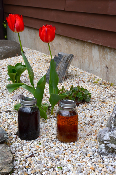 Sirop-d'érable-2016-2