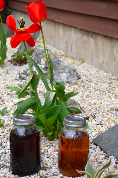 Sirop-d'érable-Maghnord-2016